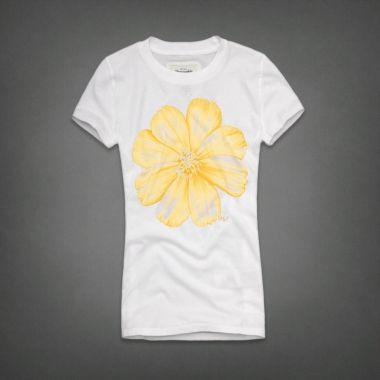 CAMISETA  ABERCROMBIE FEMININA WTFA608