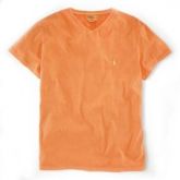 POLO Men T-shirt V-Neck 201204-PLMTV1005