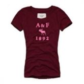 CAMISETA  ABERCROMBIE FEMININA WTFA143