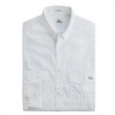 lacoste Camisa Masculina 2013  LC52